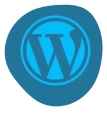 professional WordPress website for increasing business